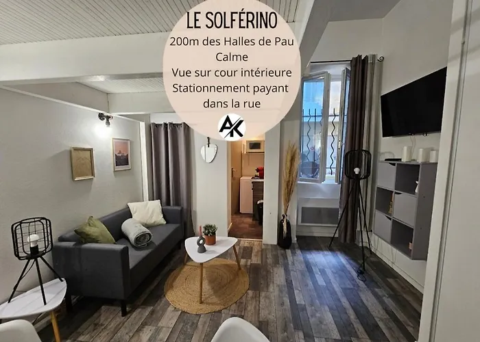 Le Solferino - Securise - Proche Halles De Pau